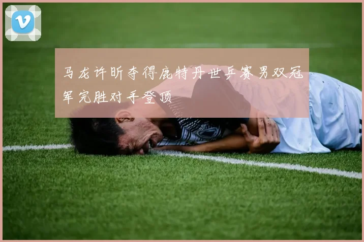 马龙许昕夺得鹿特丹世乒赛男双冠军完胜对手登顶