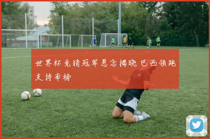 世界杯竞猜冠军悬念揭晓 巴西领跑支持率榜